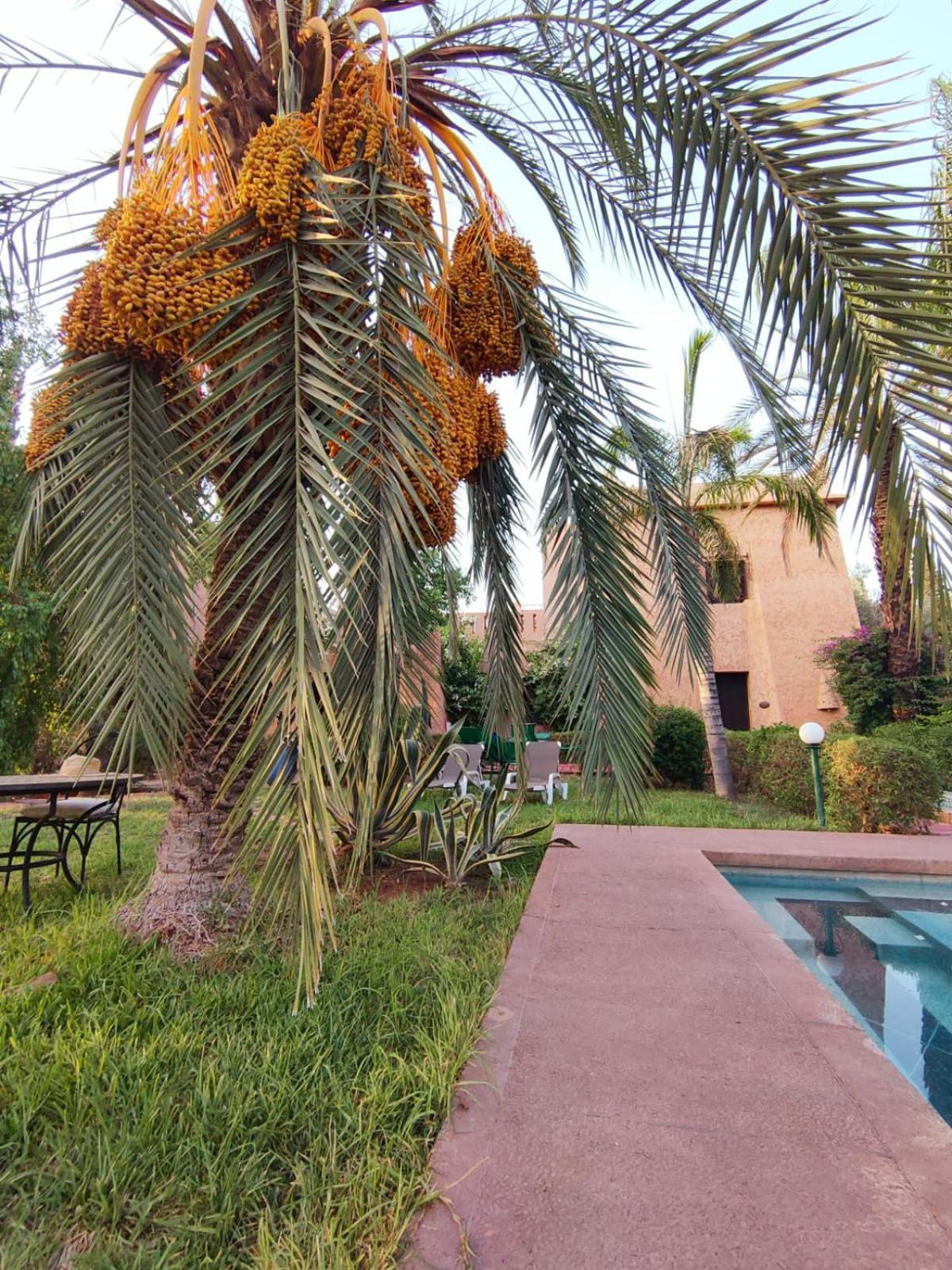 Riad Sheherazade Marrakech Marrakesh Exterior foto