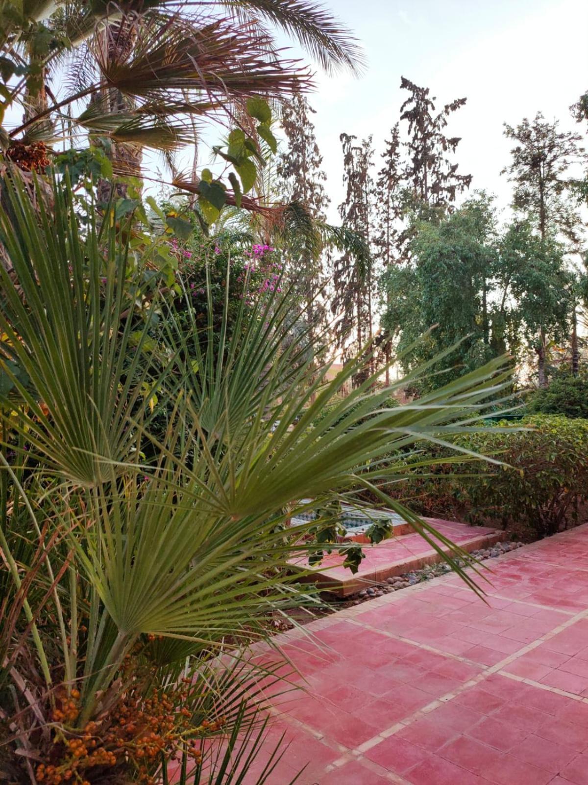 Riad Sheherazade Marrakech Marrakesh Exterior foto