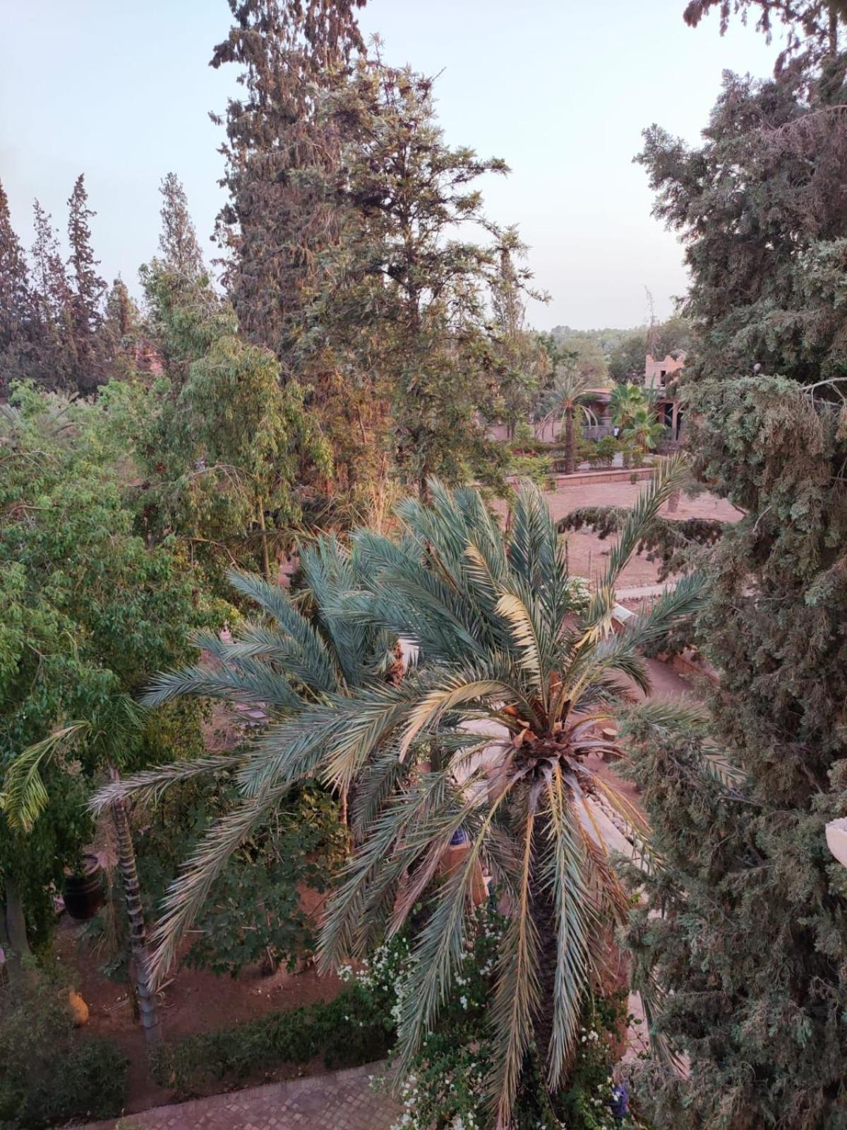 Riad Sheherazade Marrakech Marrakesh Exterior foto